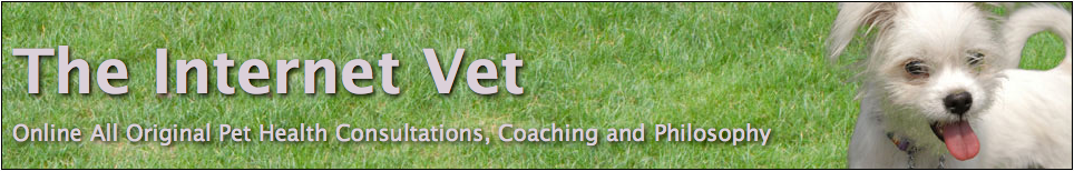 The Internet Vet